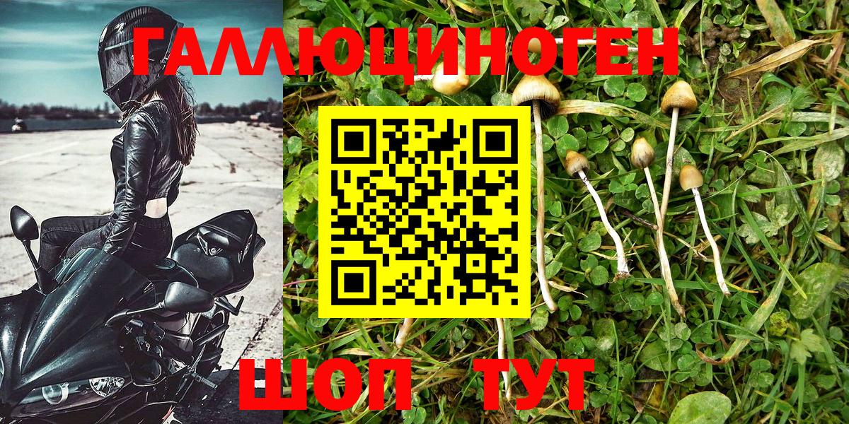 Псилоцибиновые грибы GOLDEN TEACHER  Галлюциногенные грибы Magic Shrooms  Вход с VPN  Кудымкар 